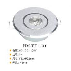 HM-TF-101天花燈