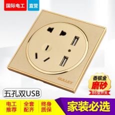 86型家裝圓形磨砂金五孔雙US手機(jī)充電帶2個USB